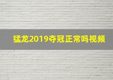 猛龙2019夺冠正常吗视频