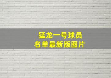 猛龙一号球员名单最新版图片