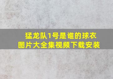 猛龙队1号是谁的球衣图片大全集视频下载安装