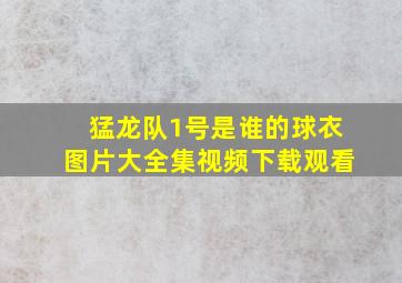 猛龙队1号是谁的球衣图片大全集视频下载观看