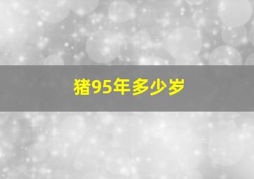 猪95年多少岁