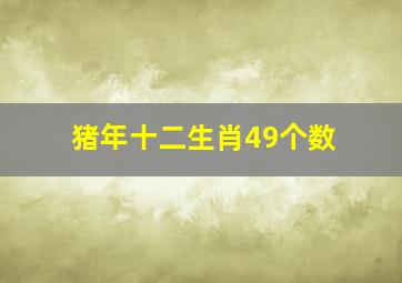 猪年十二生肖49个数