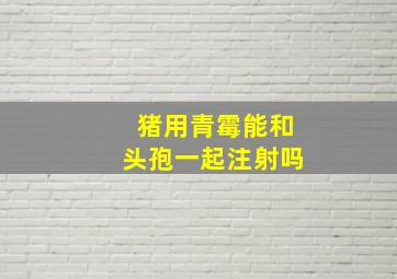 猪用青霉能和头孢一起注射吗