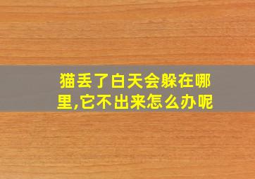 猫丢了白天会躲在哪里,它不出来怎么办呢