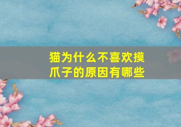 猫为什么不喜欢摸爪子的原因有哪些