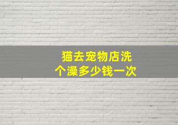 猫去宠物店洗个澡多少钱一次