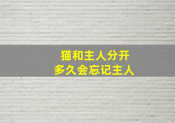 猫和主人分开多久会忘记主人