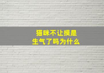 猫咪不让摸是生气了吗为什么