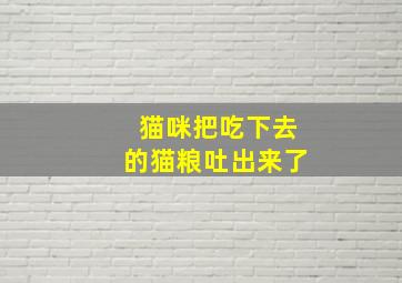 猫咪把吃下去的猫粮吐出来了