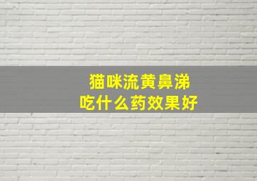 猫咪流黄鼻涕吃什么药效果好