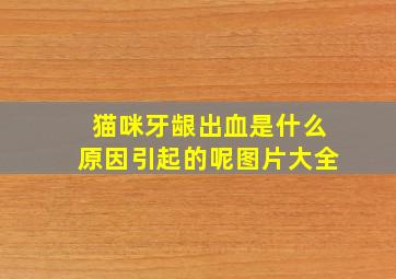 猫咪牙龈出血是什么原因引起的呢图片大全