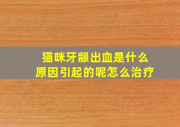 猫咪牙龈出血是什么原因引起的呢怎么治疗