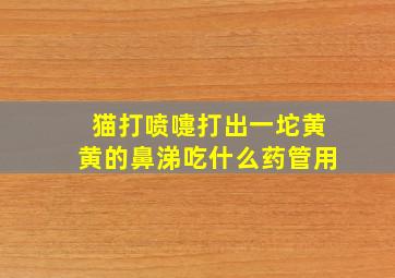 猫打喷嚏打出一坨黄黄的鼻涕吃什么药管用