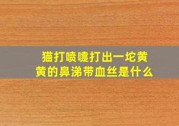 猫打喷嚏打出一坨黄黄的鼻涕带血丝是什么