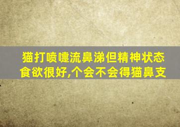 猫打喷嚏流鼻涕但精神状态食欲很好,个会不会得猫鼻支