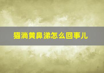 猫淌黄鼻涕怎么回事儿