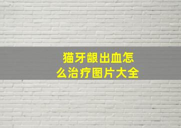 猫牙龈出血怎么治疗图片大全