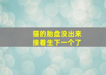 猫的胎盘没出来接着生下一个了