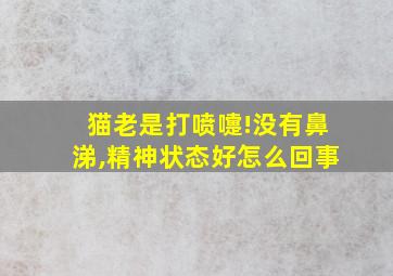 猫老是打喷嚏!没有鼻涕,精神状态好怎么回事