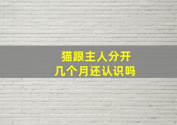 猫跟主人分开几个月还认识吗