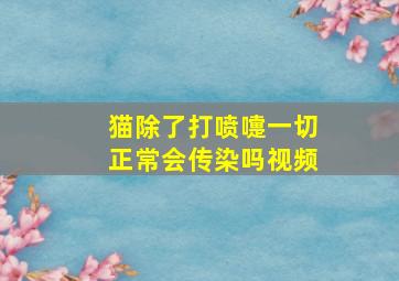 猫除了打喷嚏一切正常会传染吗视频