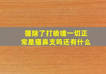 猫除了打喷嚏一切正常是猫鼻支吗还有什么