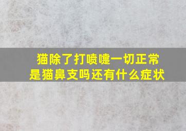 猫除了打喷嚏一切正常是猫鼻支吗还有什么症状