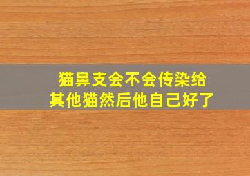 猫鼻支会不会传染给其他猫然后他自己好了