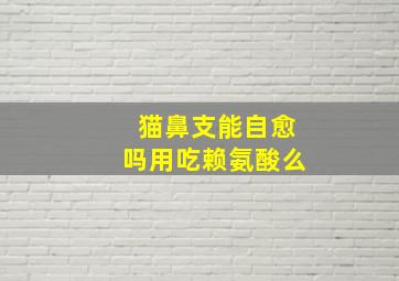 猫鼻支能自愈吗用吃赖氨酸么