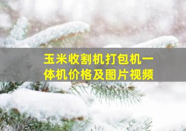 玉米收割机打包机一体机价格及图片视频