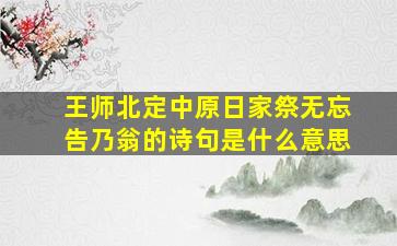 王师北定中原日家祭无忘告乃翁的诗句是什么意思