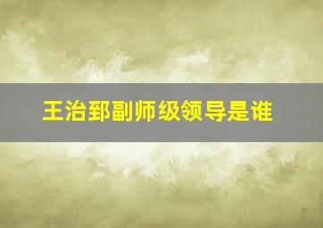 王治郅副师级领导是谁