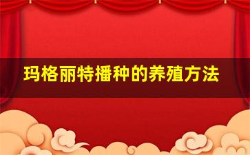 玛格丽特播种的养殖方法