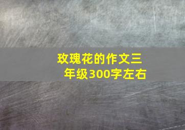 玫瑰花的作文三年级300字左右