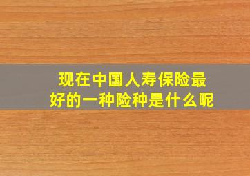 现在中国人寿保险最好的一种险种是什么呢