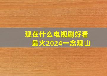 现在什么电视剧好看最火2024一念观山