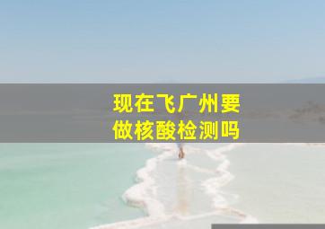 现在飞广州要做核酸检测吗