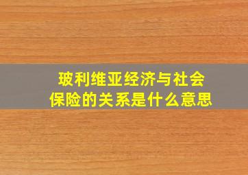 玻利维亚经济与社会保险的关系是什么意思