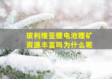 玻利维亚锂电池锂矿资源丰富吗为什么呢