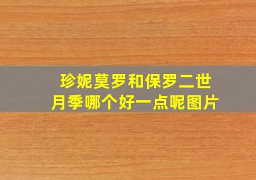 珍妮莫罗和保罗二世月季哪个好一点呢图片