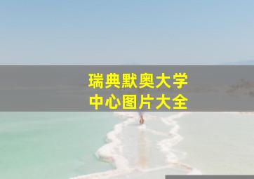 瑞典默奥大学中心图片大全