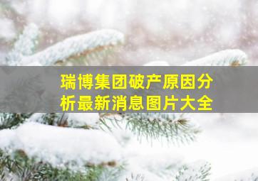 瑞博集团破产原因分析最新消息图片大全