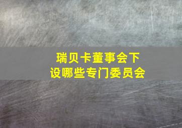 瑞贝卡董事会下设哪些专门委员会