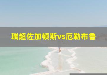 瑞超佐加顿斯vs厄勒布鲁