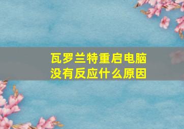 瓦罗兰特重启电脑没有反应什么原因