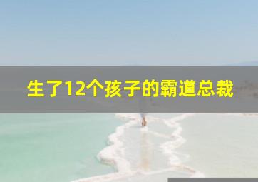 生了12个孩子的霸道总裁