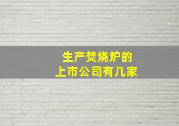 生产焚烧炉的上市公司有几家