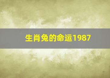 生肖兔的命运1987