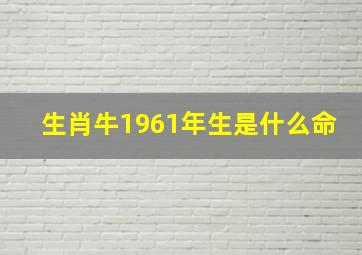 生肖牛1961年生是什么命