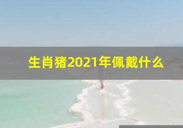 生肖猪2021年佩戴什么